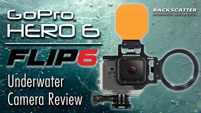 GoPro HERO 6 vs. HERO 5 Underwater Camera Test