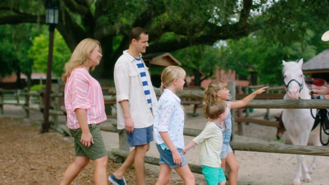 Disney Parks - Customer Success Story