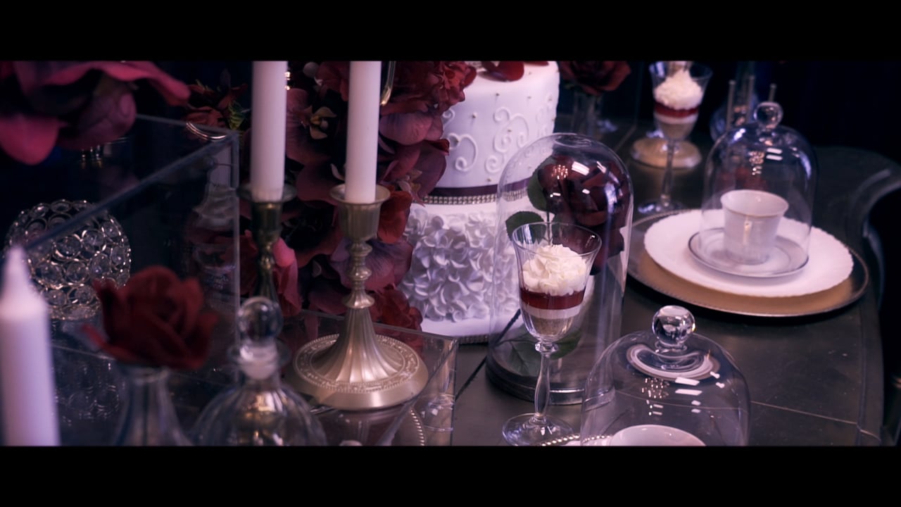| Crossover Bollywood | Beauty & The Beast Concept Shoot | Shot & Edited by: Vidaer Studios |