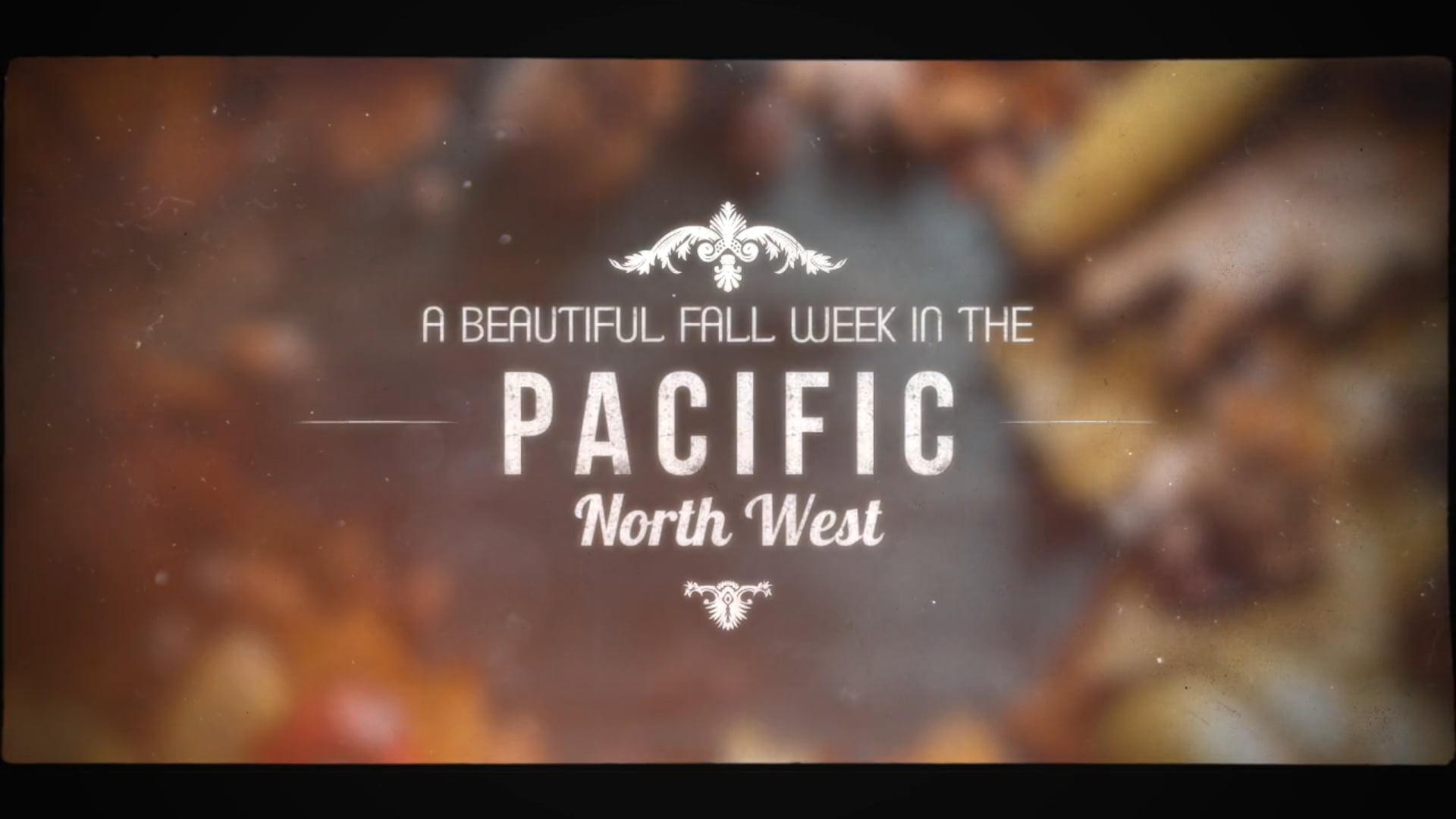 Fall in the Pacific NW