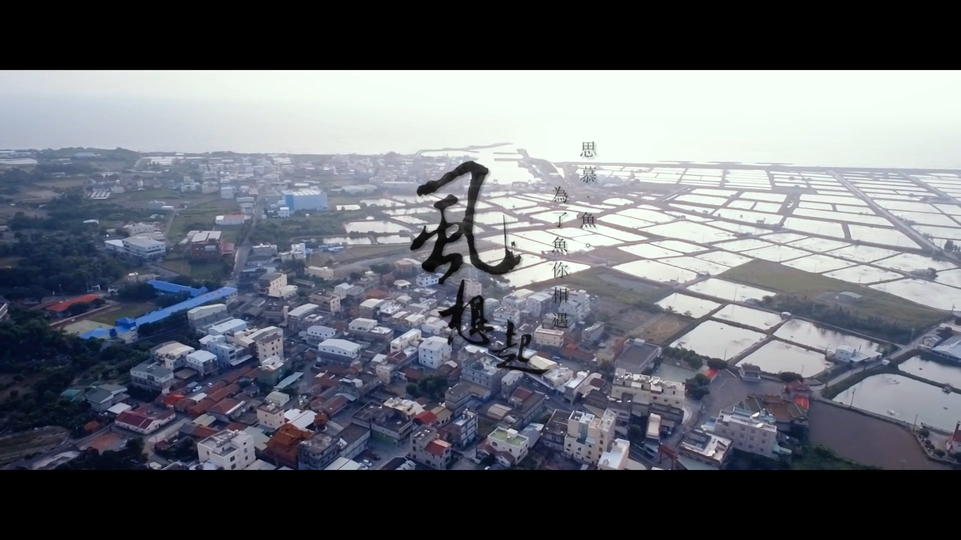 【彌陀港】2017虱目魚文化節