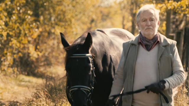 Related Embedded Video Item Thumbnail