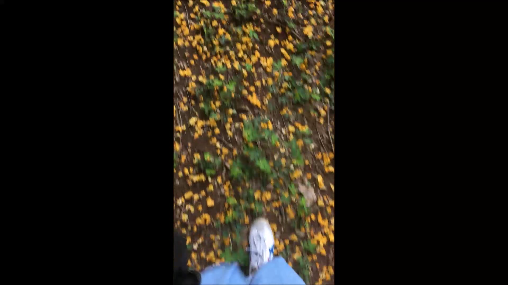 série Caminhadas, vídeo 5, parte 1