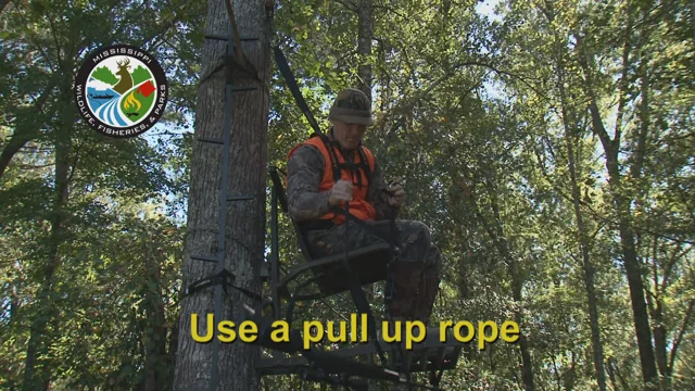 How to Safely Climb a Tree Stand