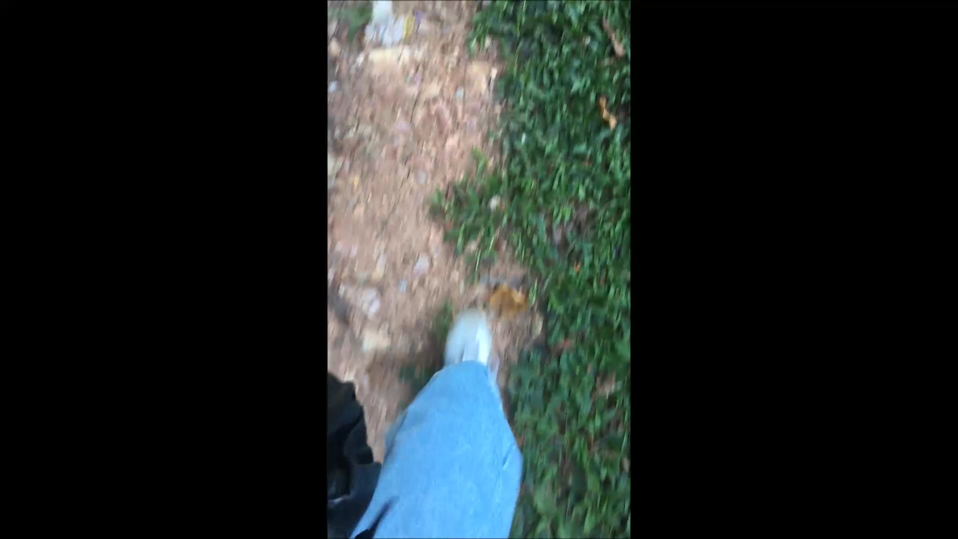 série Caminhadas, vídeo 5, parte 2