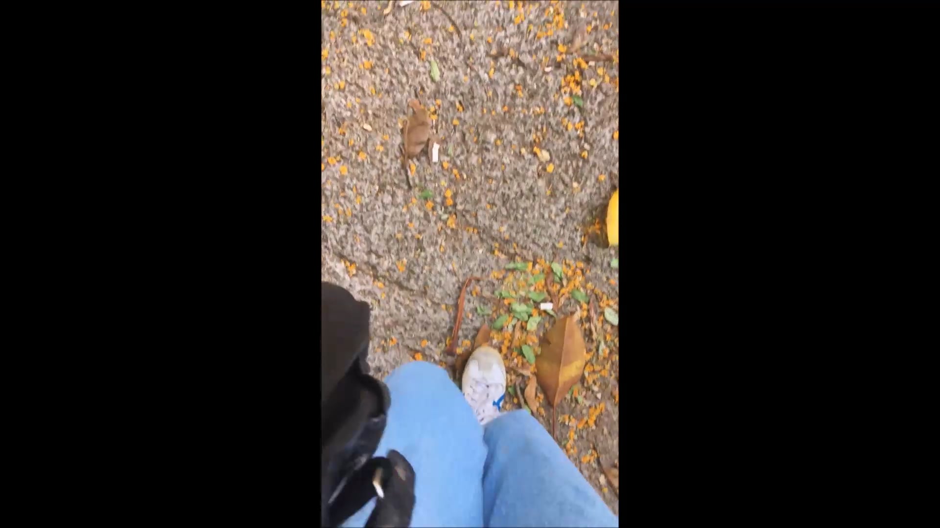 série Caminhadas, vídeo 5, parte 3