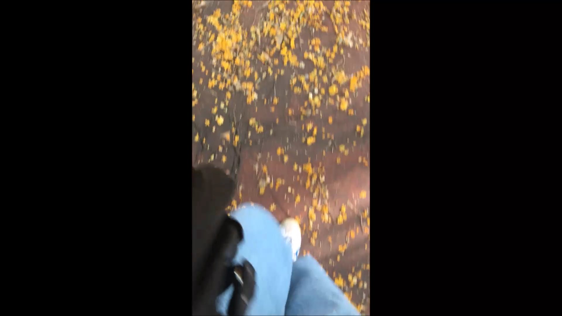 série Caminhadas, vídeo 5, parte 4