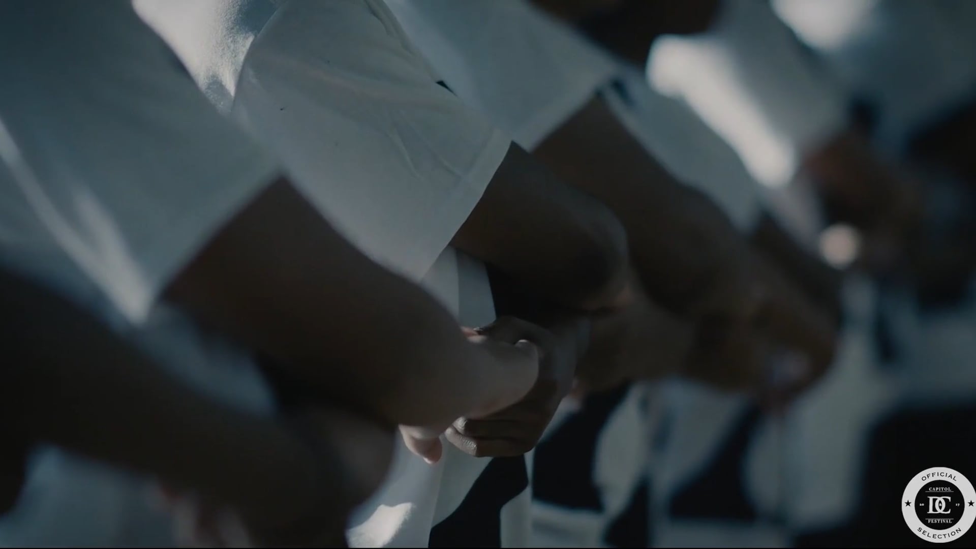 Capitol Dance & Cinema Festival 2017 Supercut