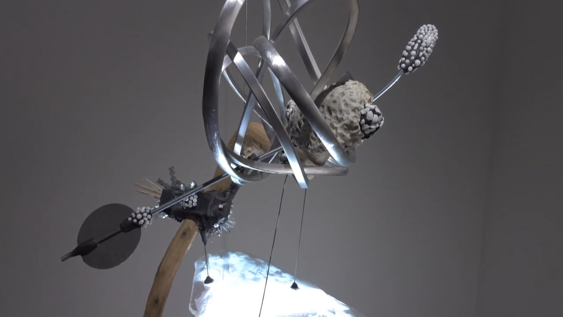 Jakub Nepraš, Natural Selection II, 2016.