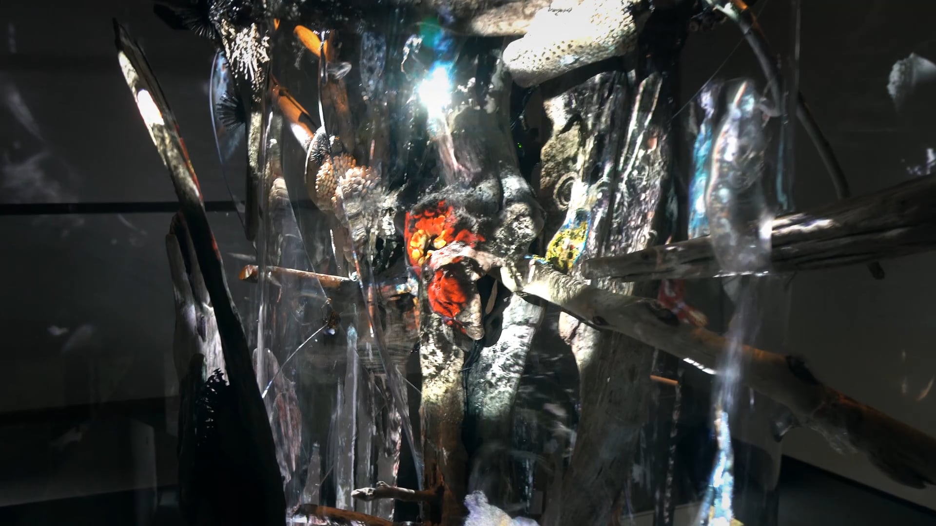 Jakub Nepraš, Bark, 2017.