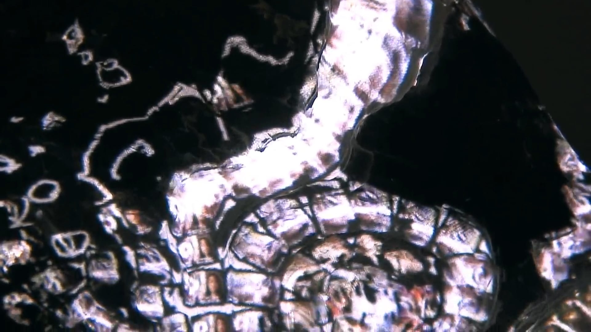 Jakub Nepraš, Active Sediment, 2008.