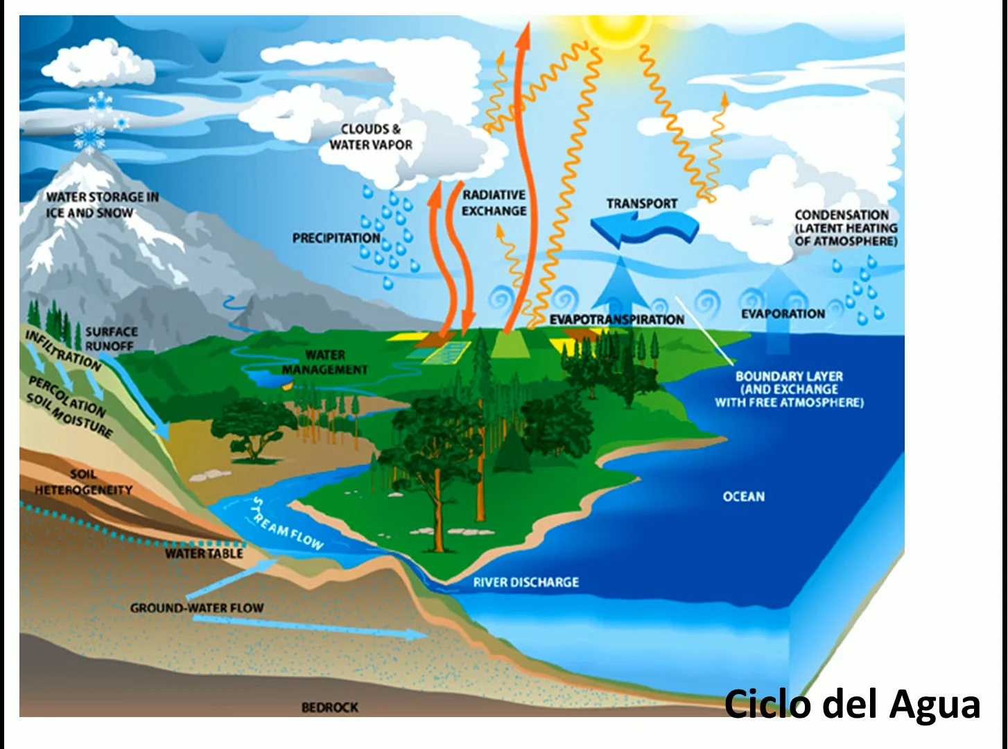 ciclo del carbono mapa konzeptionell