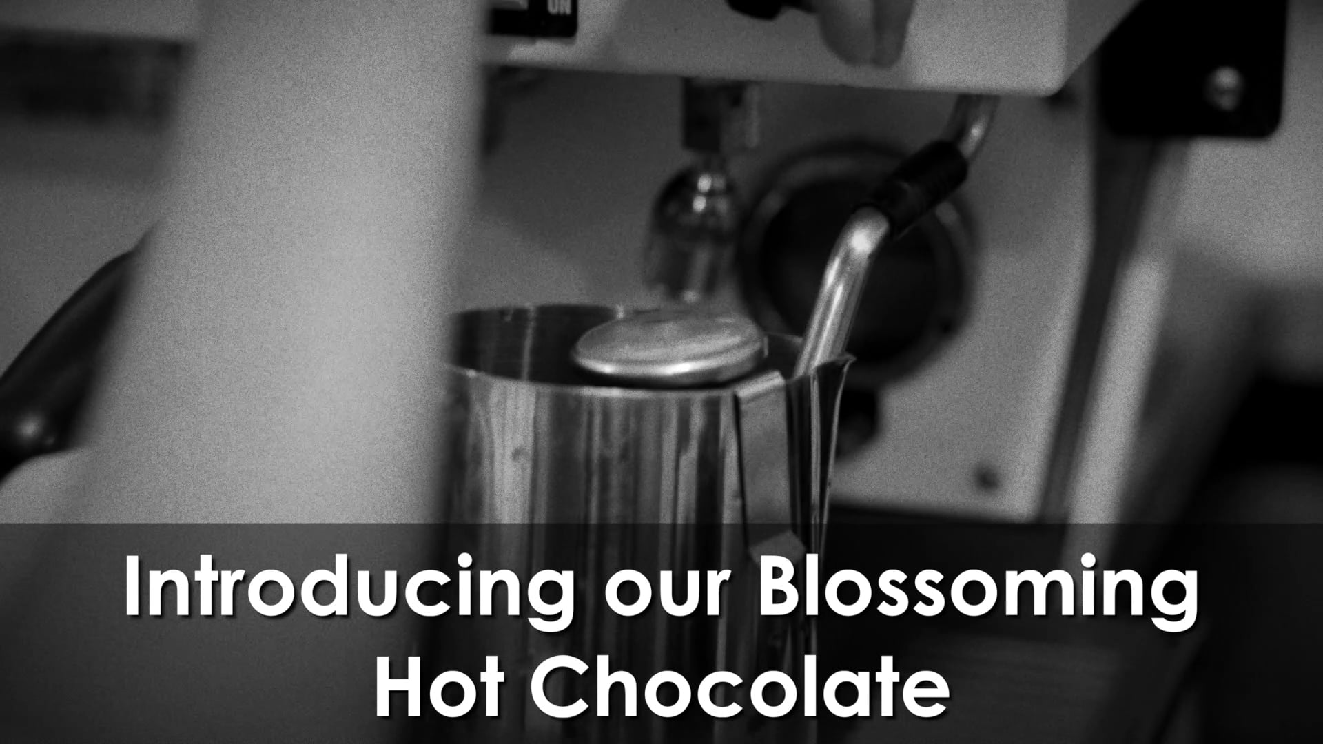 Dominique Ansel Blossoming Hot Chocolate