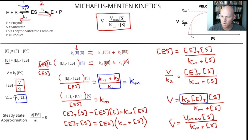 4 2a Derivation Of The Michaelis Menten Equation Chad S Prep