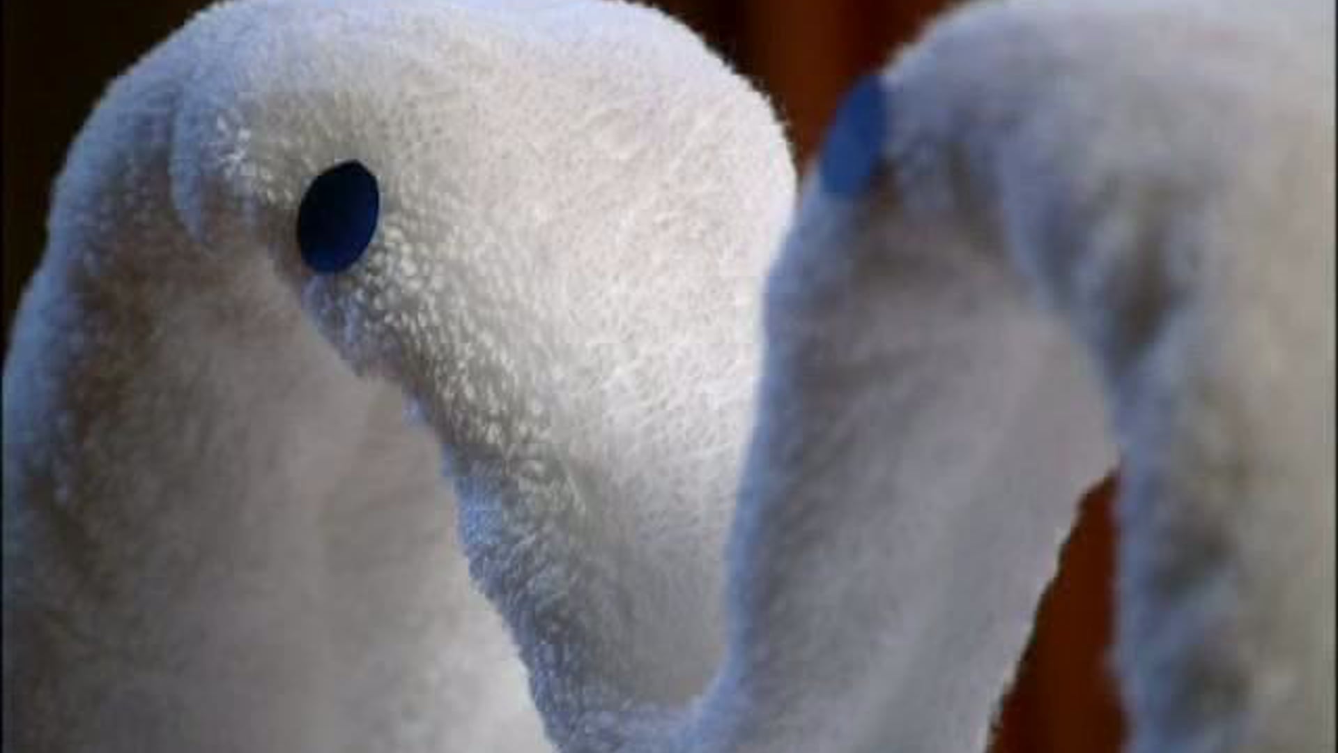 "Swans" digital content