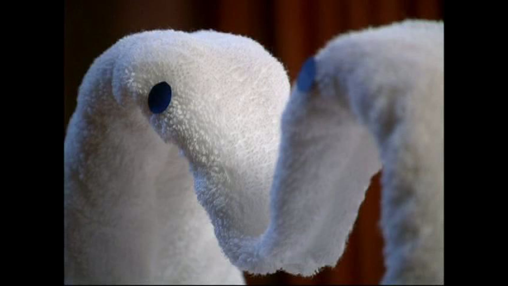 "Swans" digital content