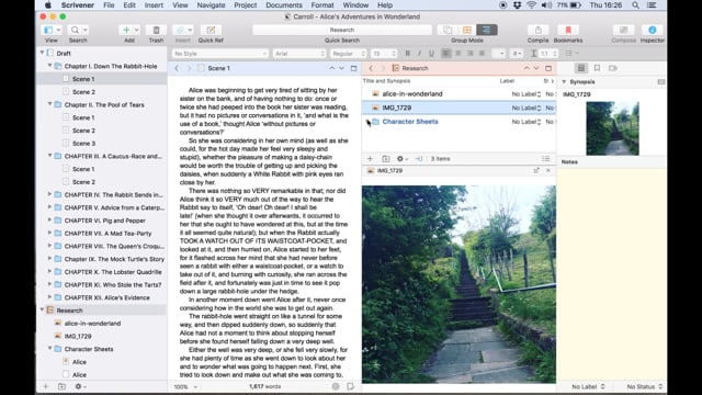 Working with Copyholders