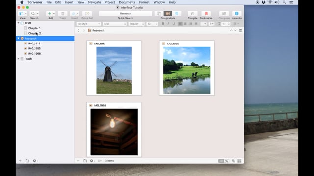 Finding Your Way Around