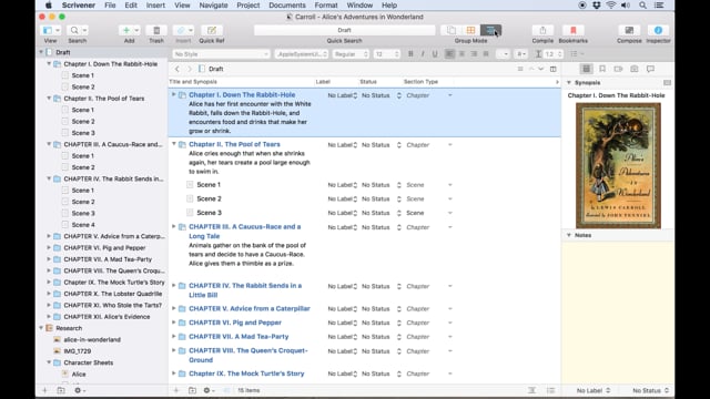 Getting an Overview with Synopses