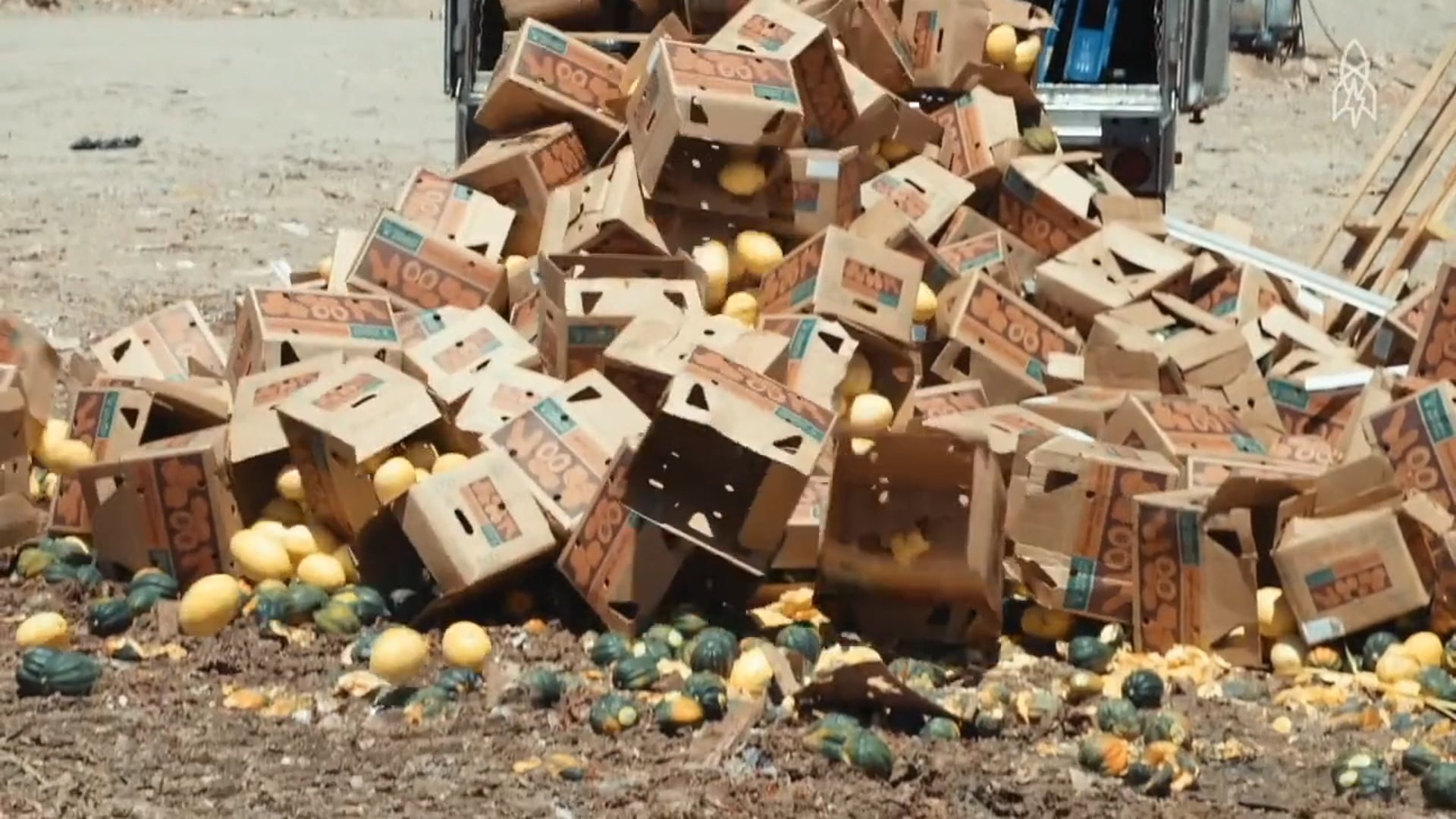 Fighting Food Waste