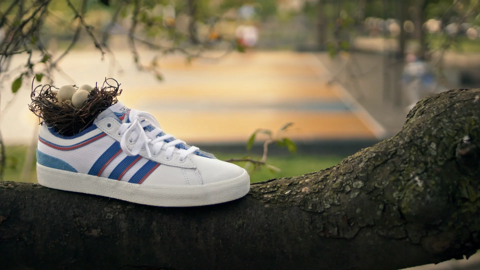 Adidas campus x alltimers online