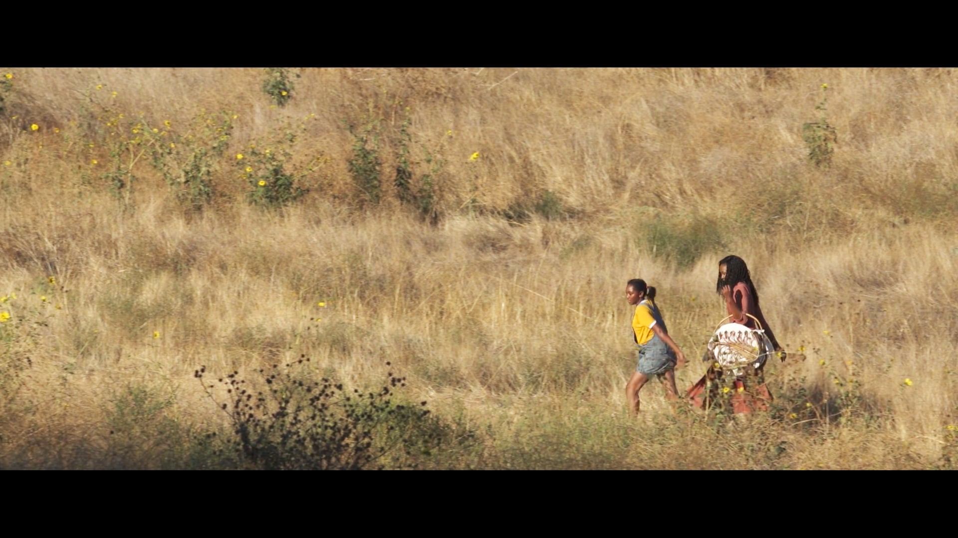 Little Bird - Short Film