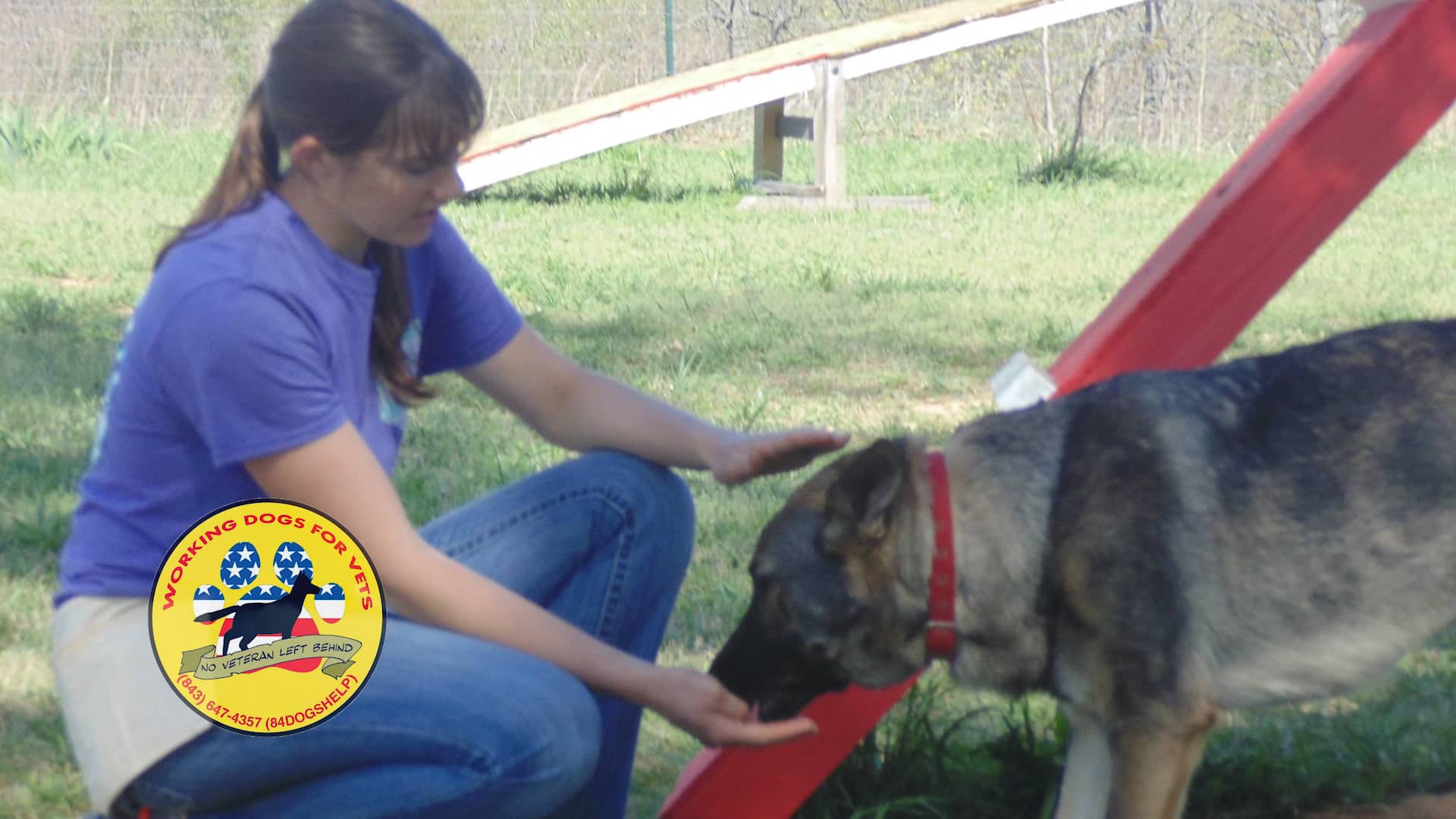 Working Dogs For Vets Promo 7 30 on Vimeo