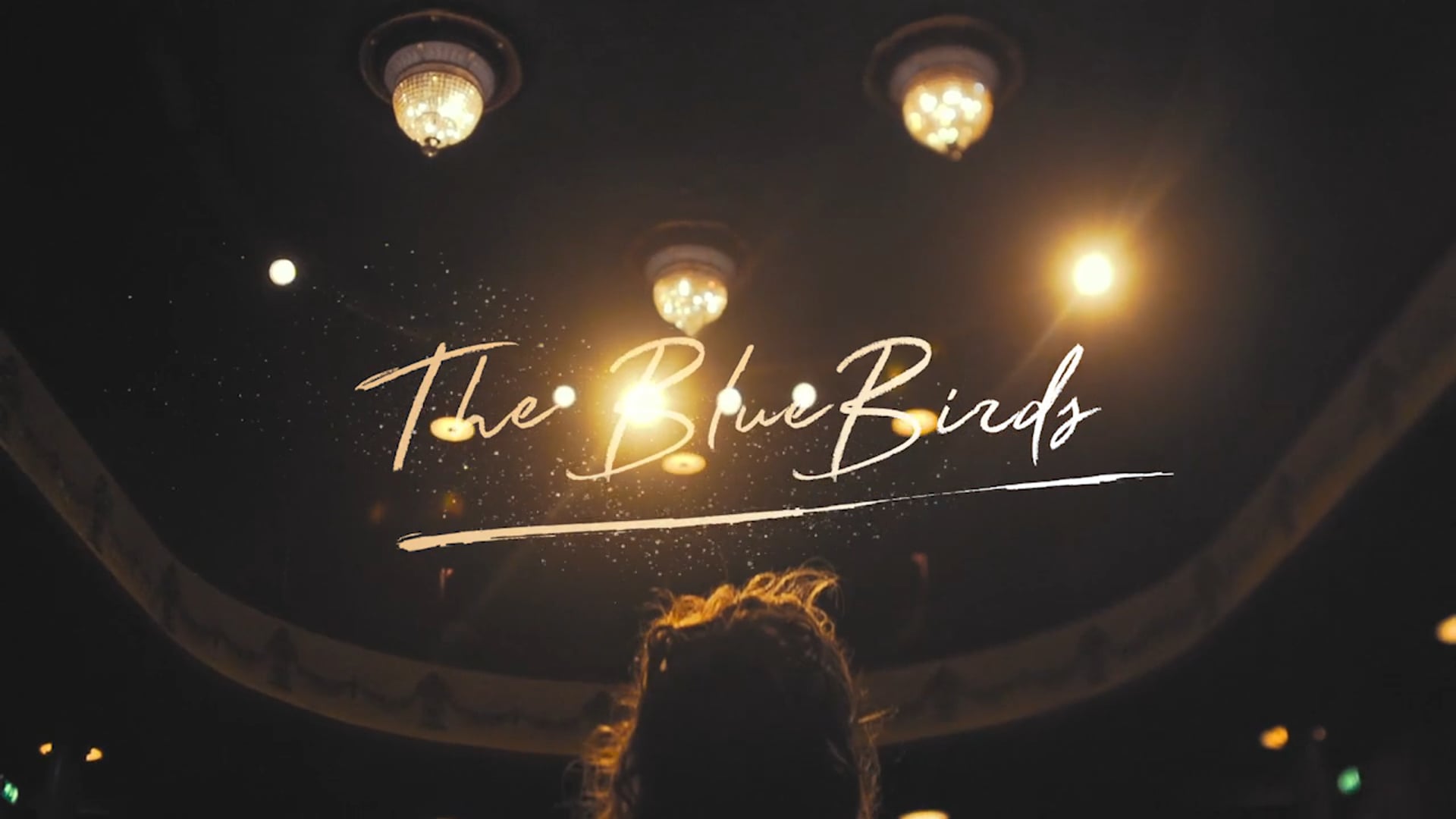 The BlueBirds | Kleine Komedie Amsterdam [aftermovie]