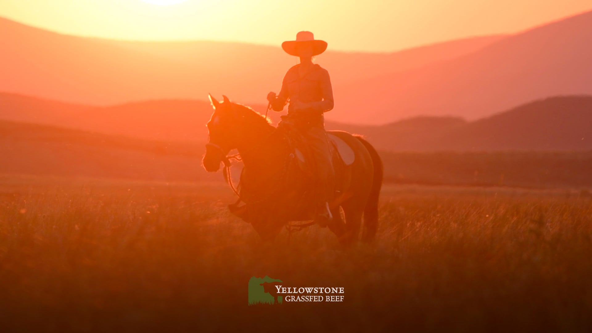 Yellowstone Grassfed Beef - Brand Story