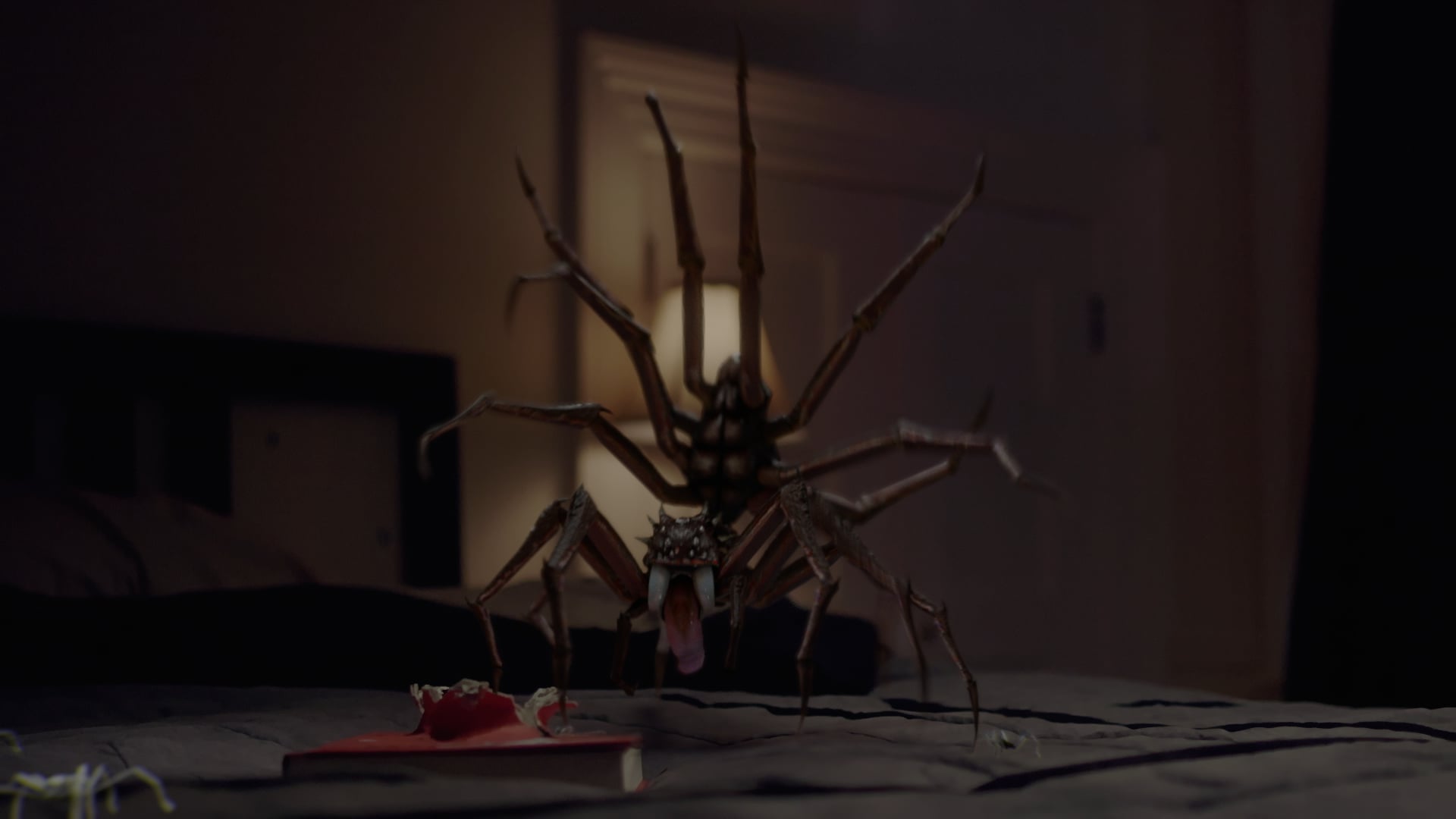 This Books Is Full Of Spiders [Book Trailer] on Vimeo