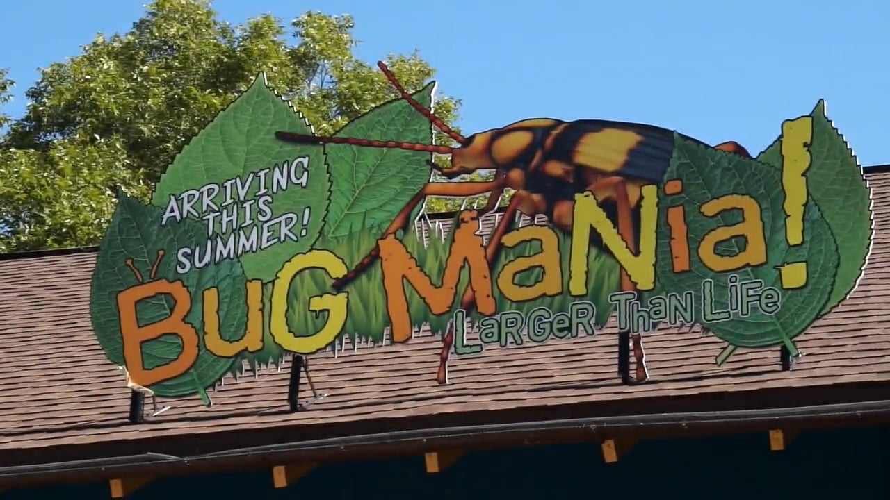 San Antonio Zoo (2017)