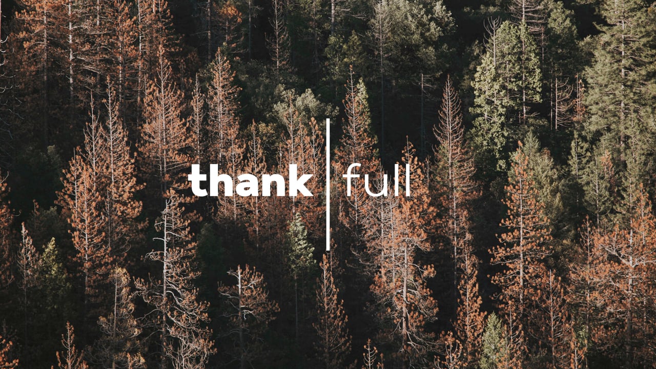thank|full: Week 1