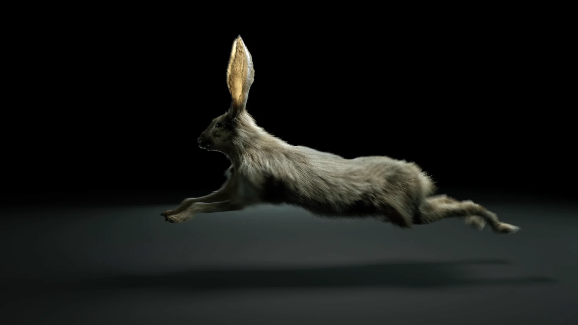 Octane rabbit WIP on Vimeo