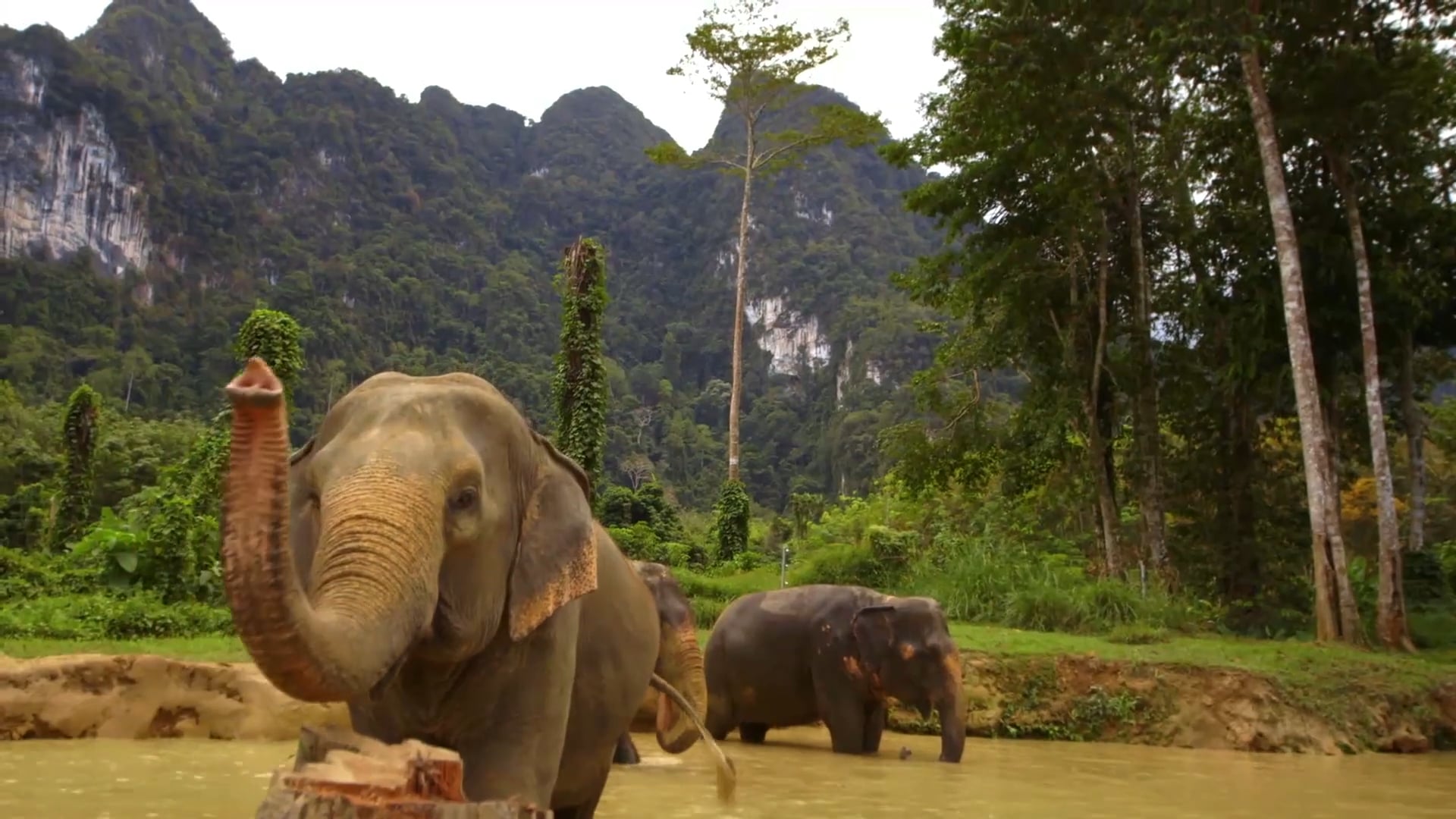 Diario do Olivier_TAILANDIA