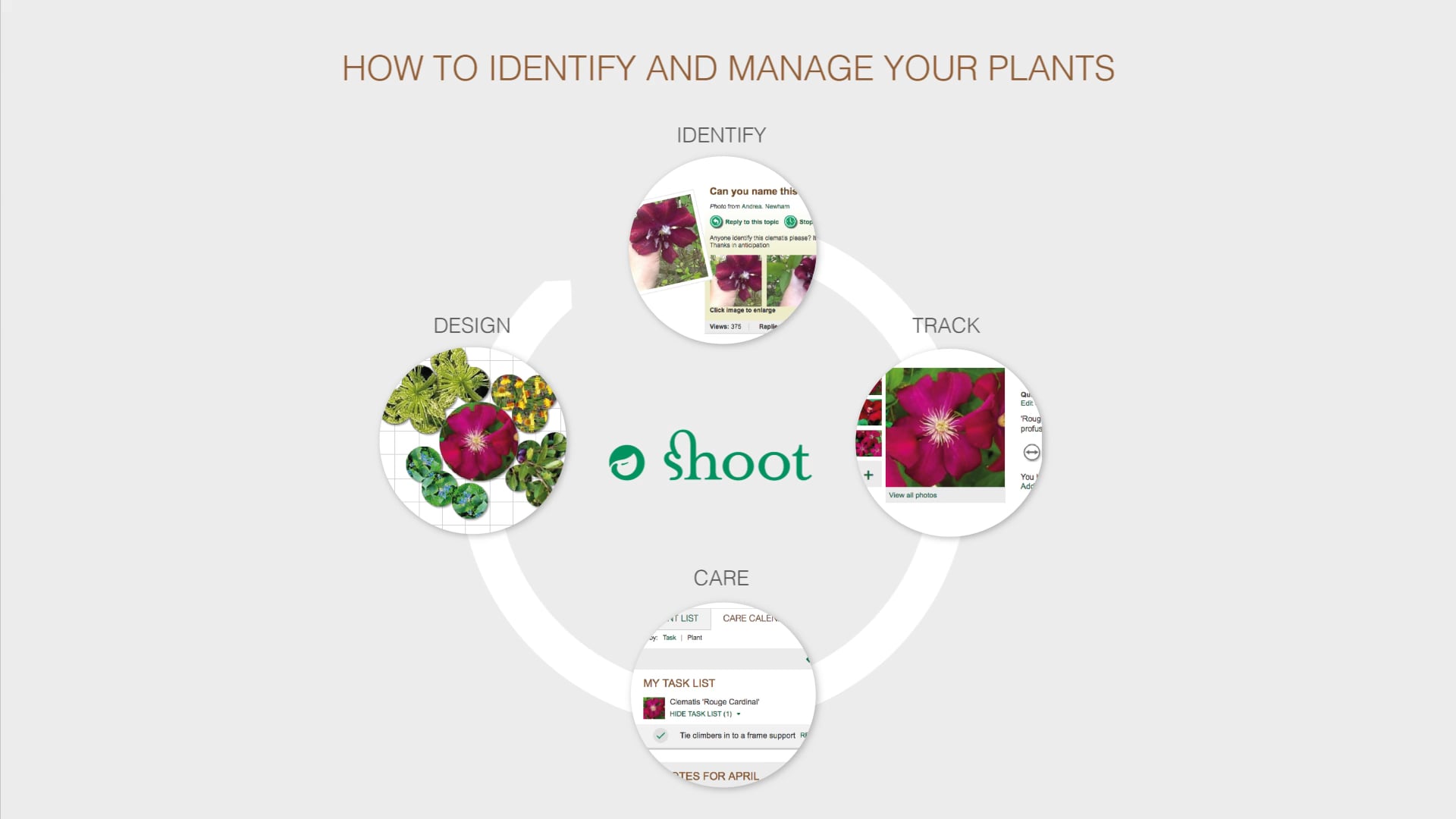 How to identify and manage your plants using Shoot