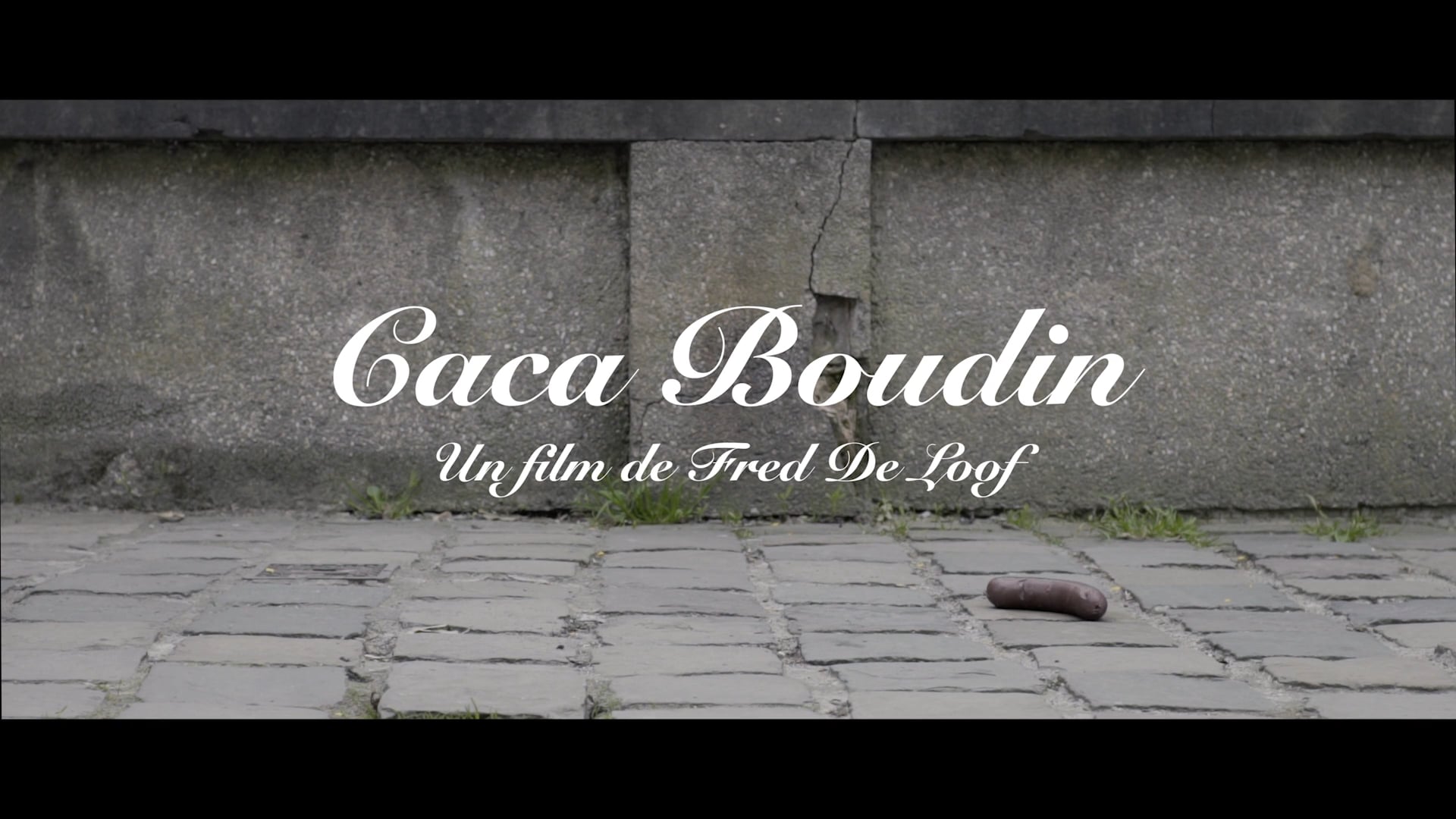 Caca Boudin un film de Fred De Loof