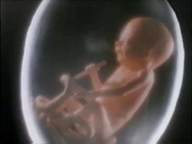 fetus smoking a cigarette 1985. American Cancer Society