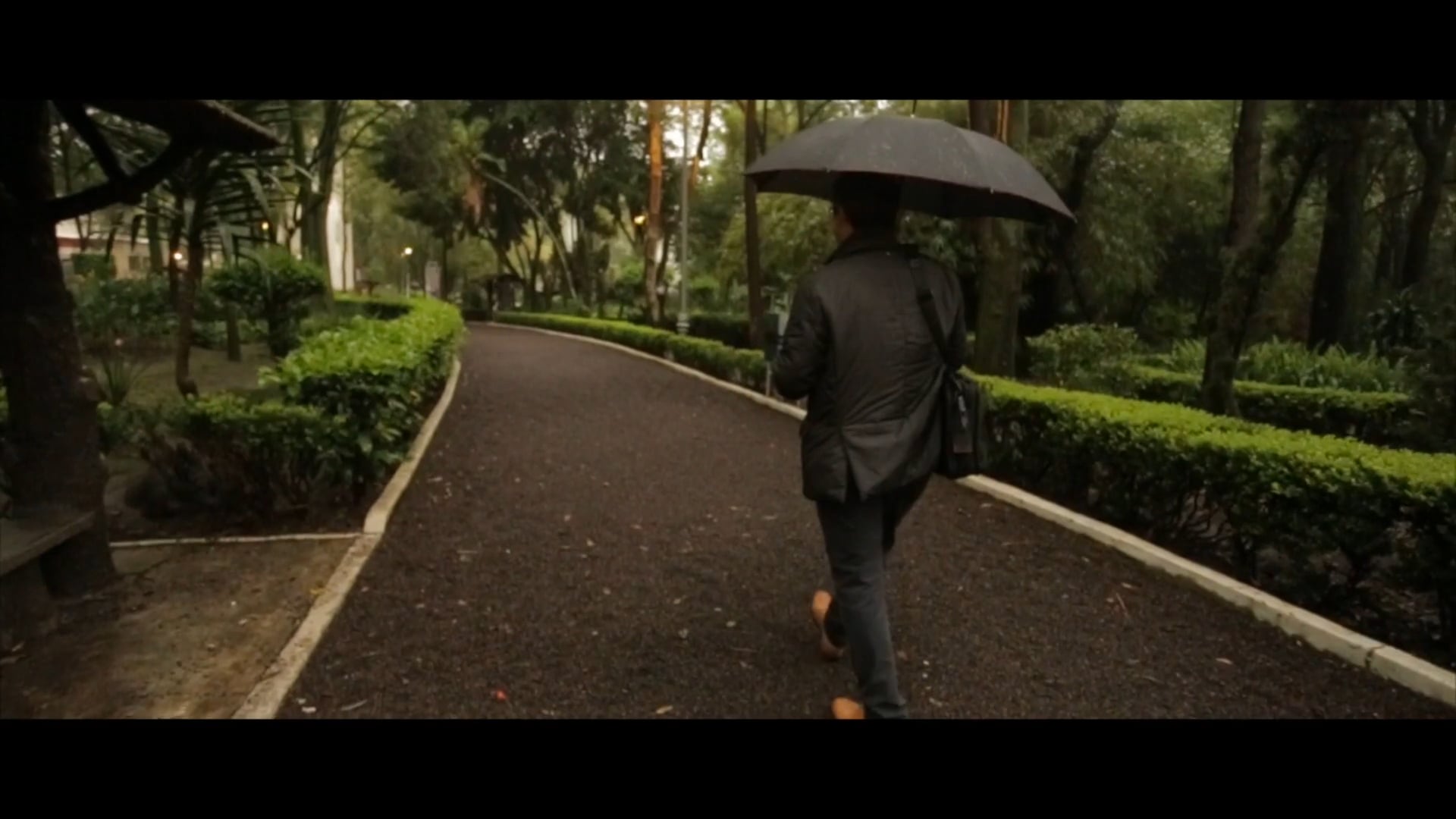 EY DOCU SERIES