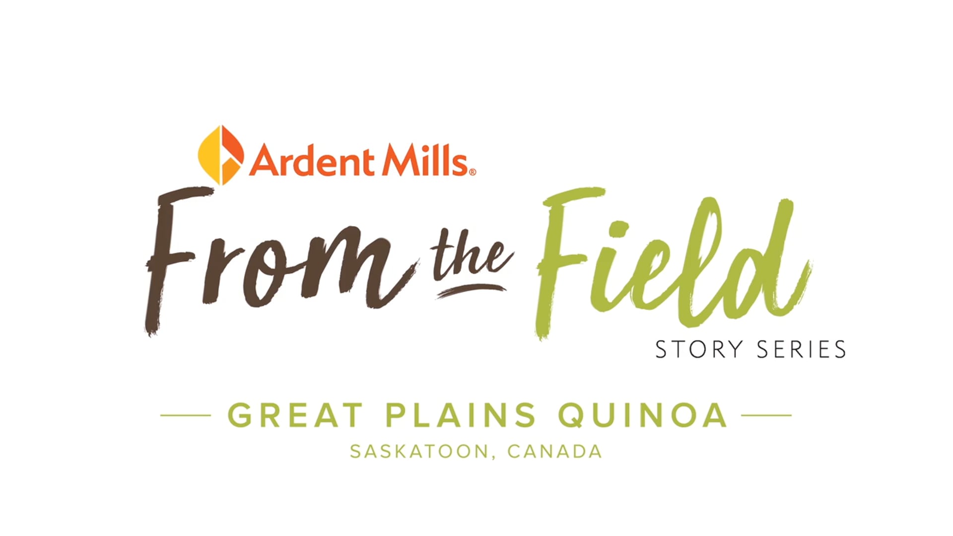 Ardent Mills | Great Plains Quinoa