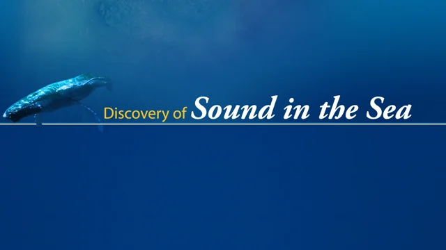 Tutorial: Find Fish – Discovery of Sound in the Sea