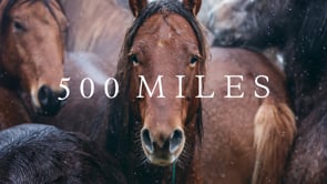 500 Miles
