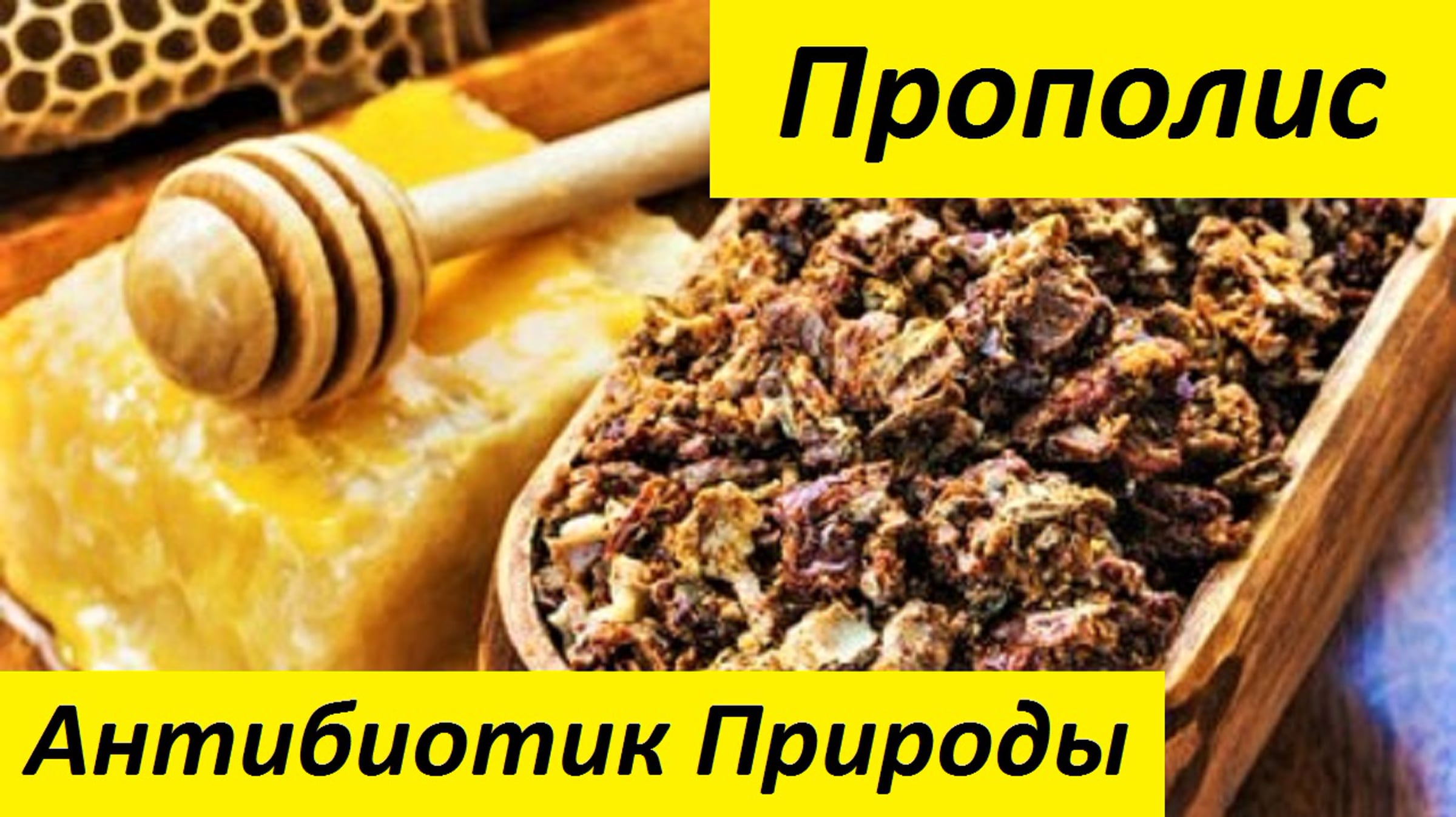 Прополис пчелиный что это и для чего. Прополис. Прополис пчелиный. Прополис пчелиный клей. Чем полезен прополис.