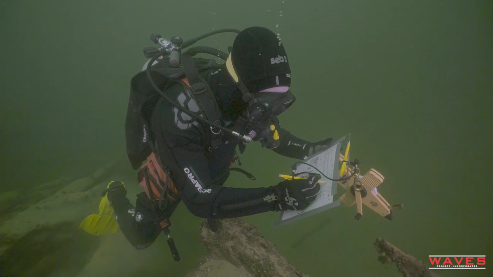 NPS / WAVES Project - 2017