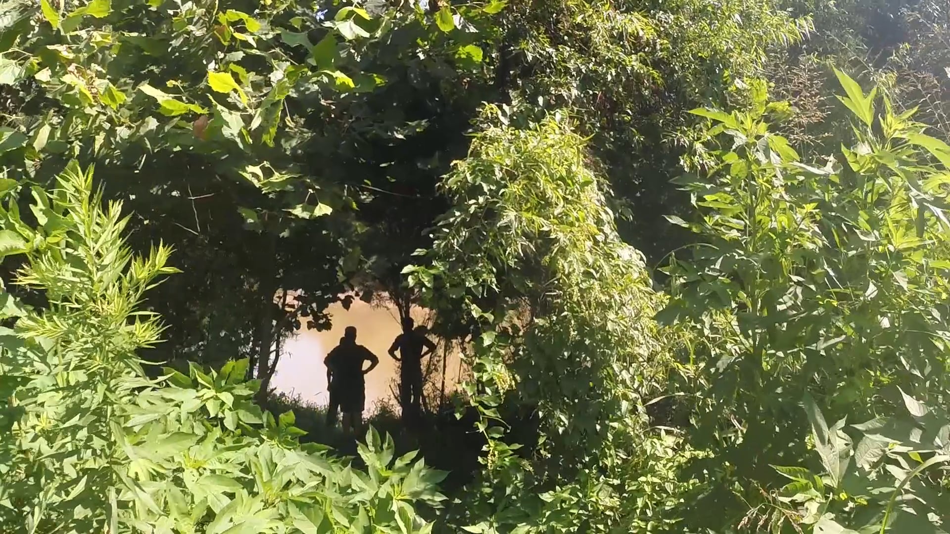 Restoration and Reconciliation*