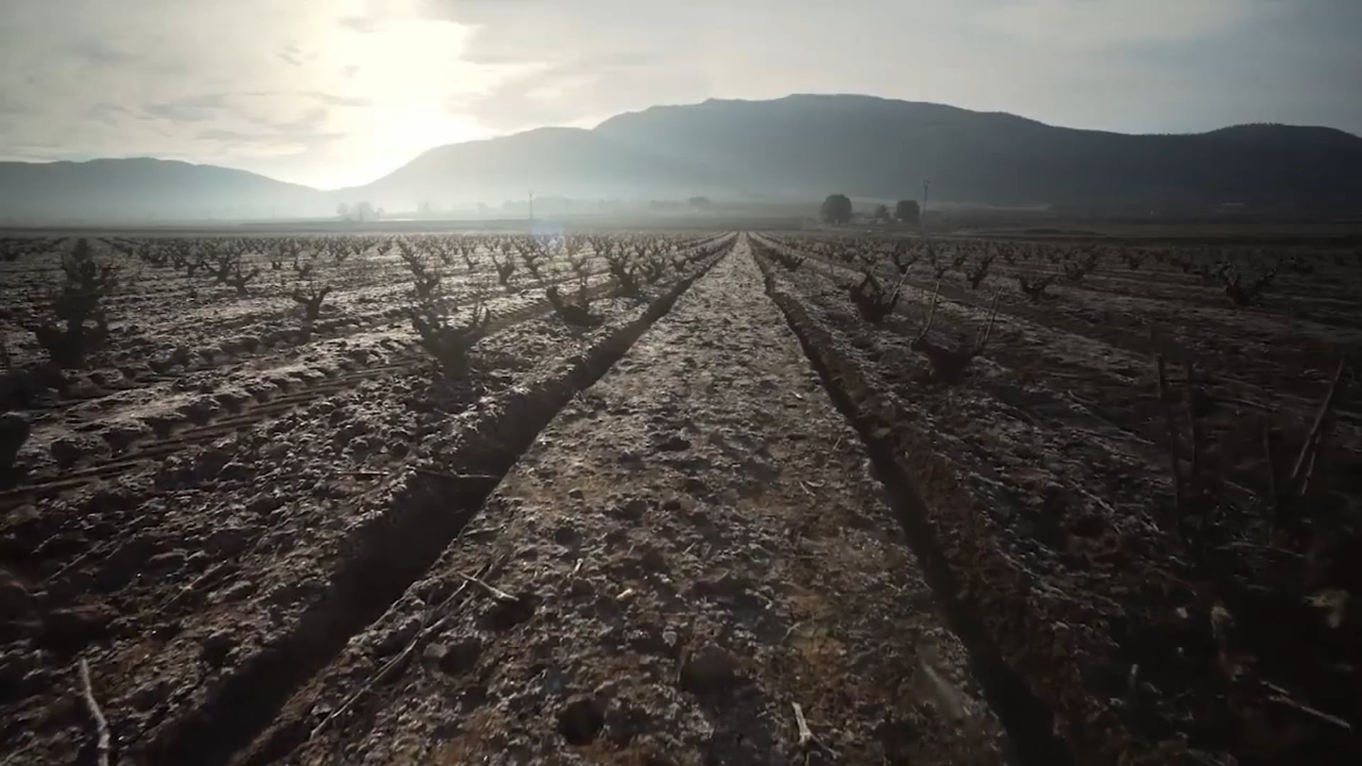 EL ORIGEN TRAILER