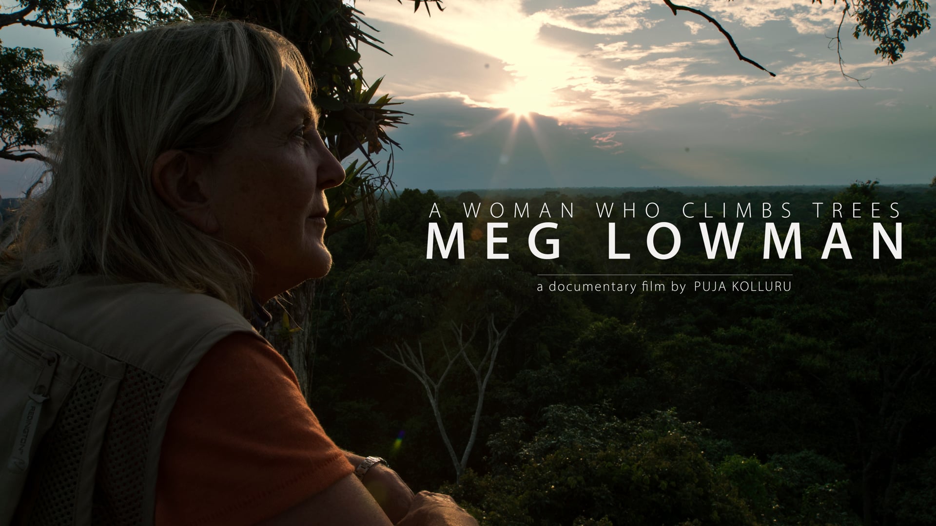 A Woman Who Climbs Trees: Meg Lowman