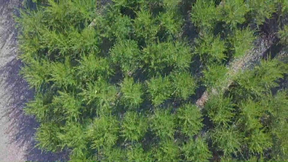 Youngblood Nursery Salem, Oregon on Vimeo