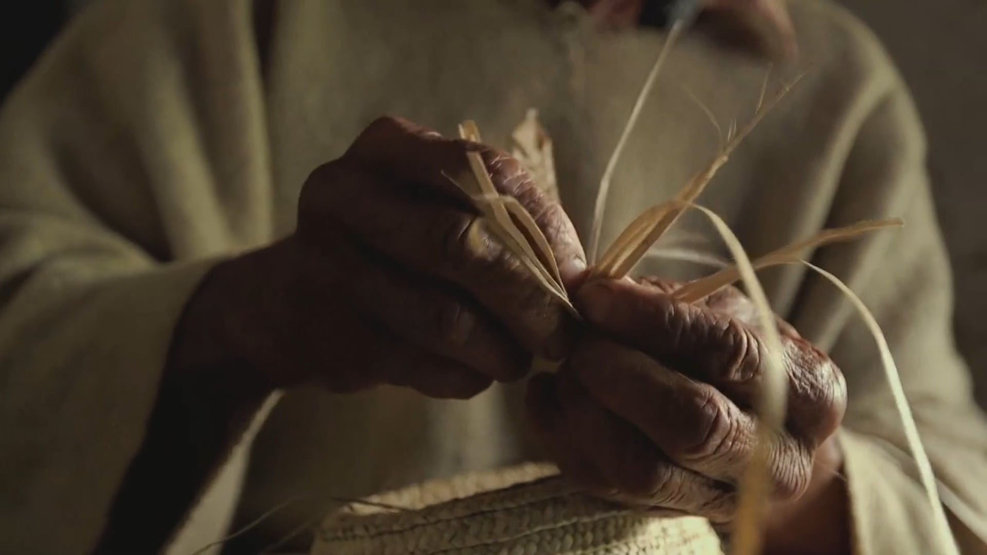 Trailer Serie documental Ancestral primera temporada