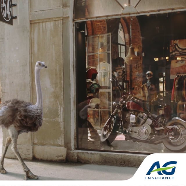 AG INSURANCE 