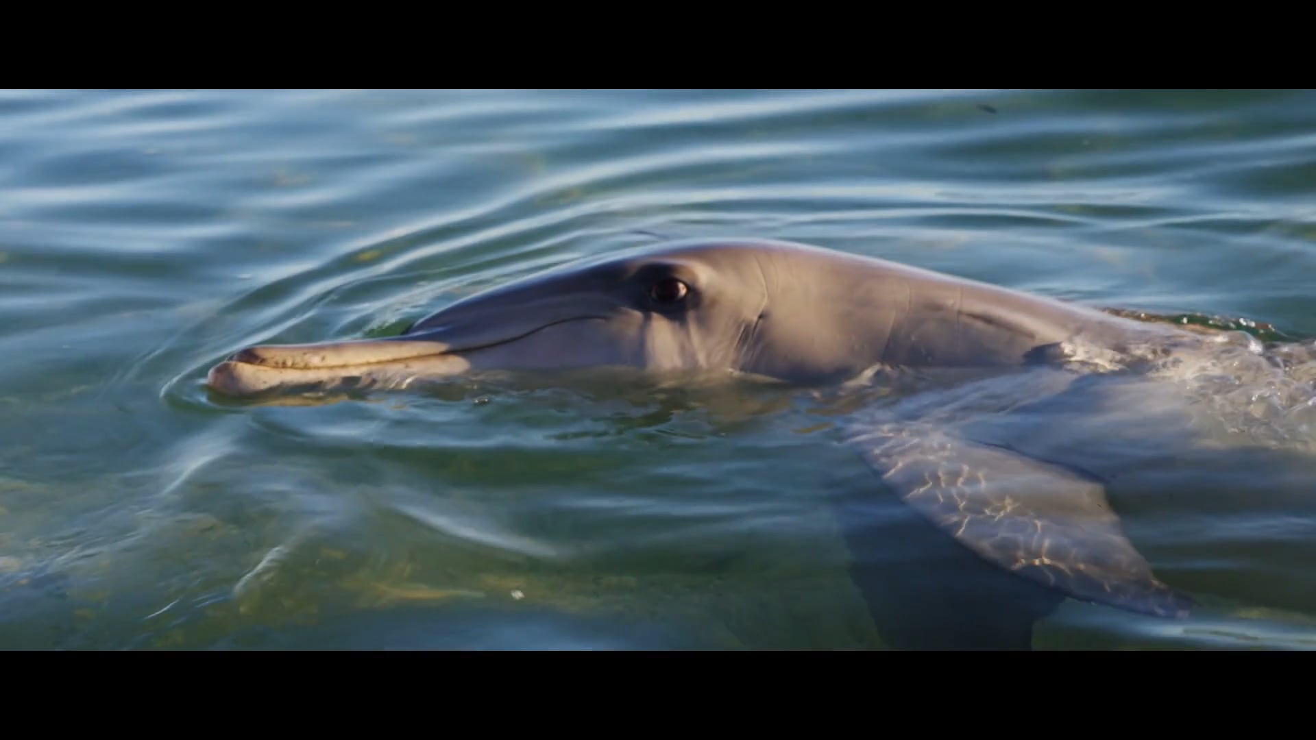 Outback Spirit - Pilbara excerpt